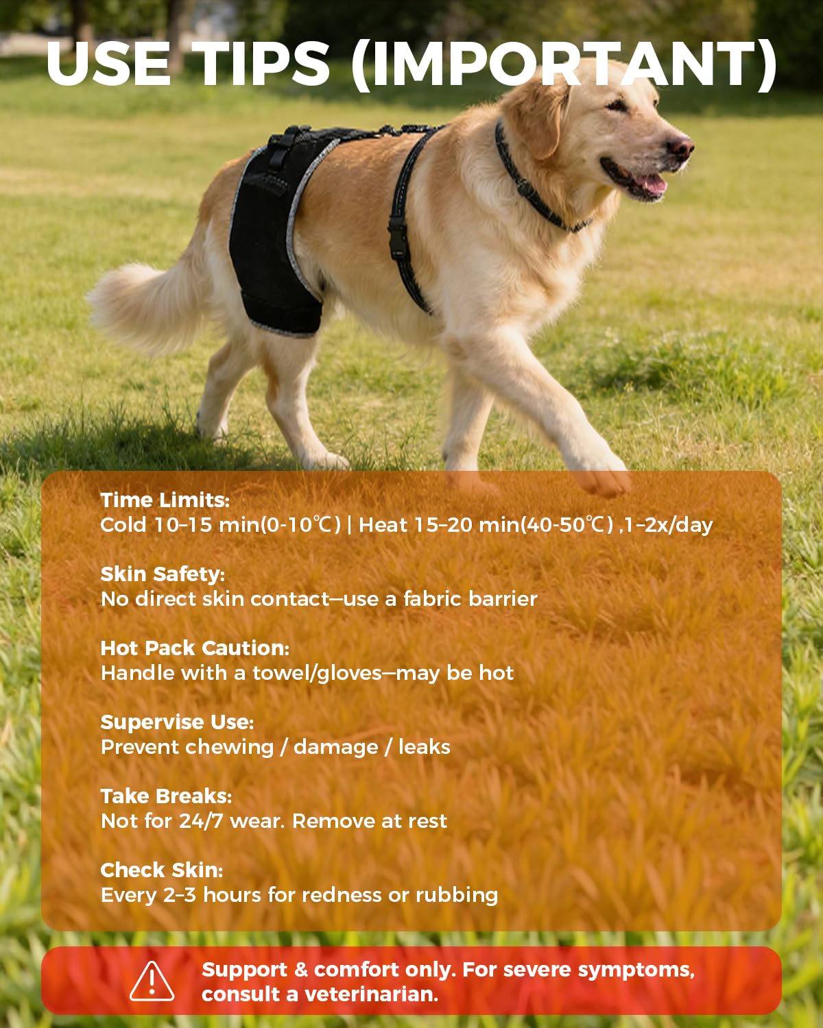 LISPOO Pet Supplies in M, Black