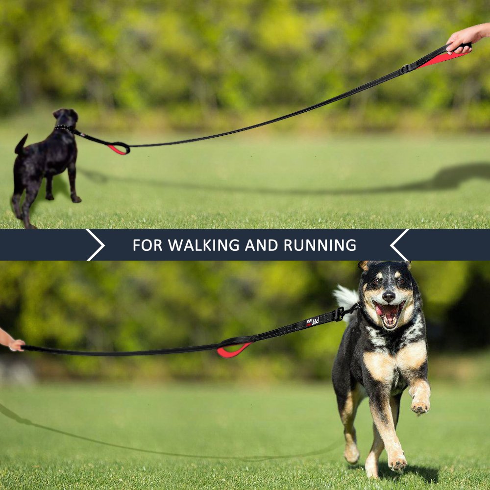 PLUTUS PET Leash in 4 FT, Black