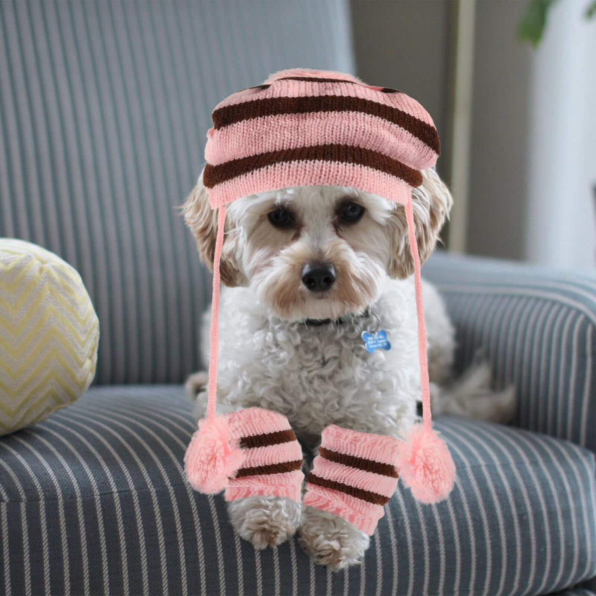 POPETPOP Pet Apparel in XS, Pink