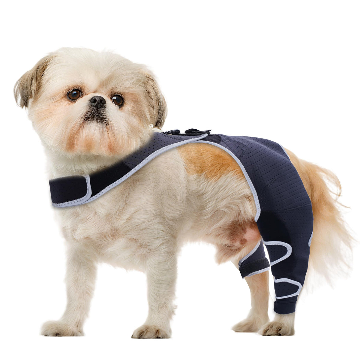 Furtent Pet Apparel in XS, black