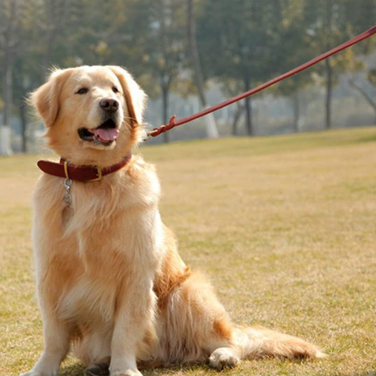 Guiding Star Leash in X-Small, Red