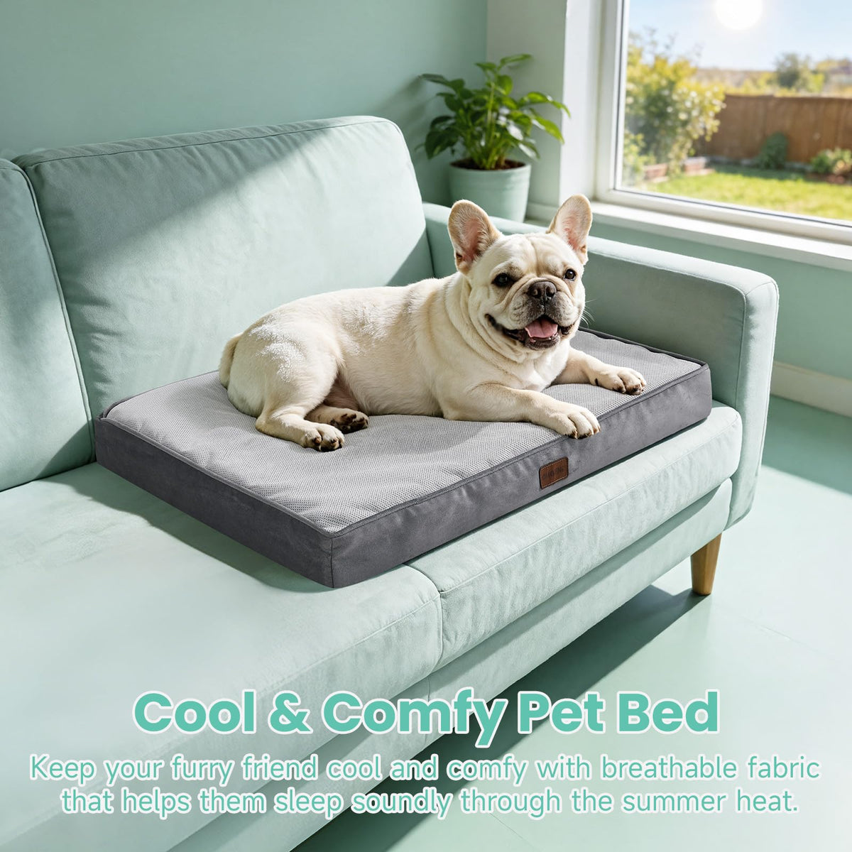 OhGeni Pet Bed Mat in 30" x 20" x 3", 01-Gray
