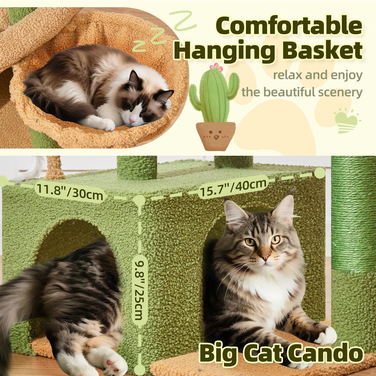 Taoqimiao Pet Activity Structure in L, Cactus