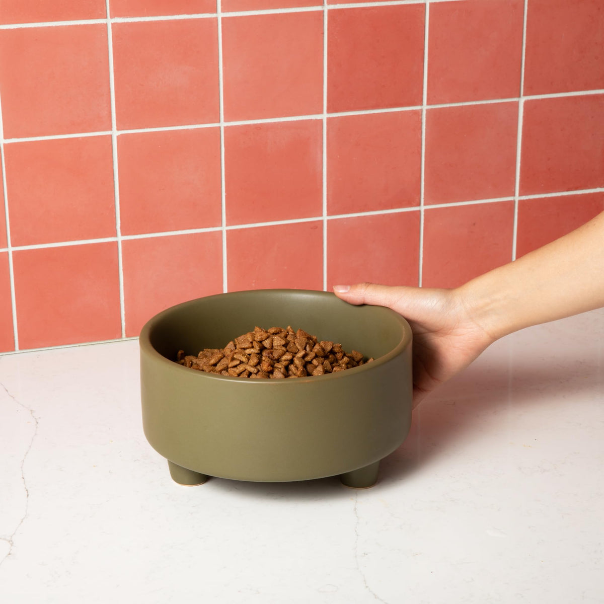 Waggo Pet Feeder in Medium, Olive