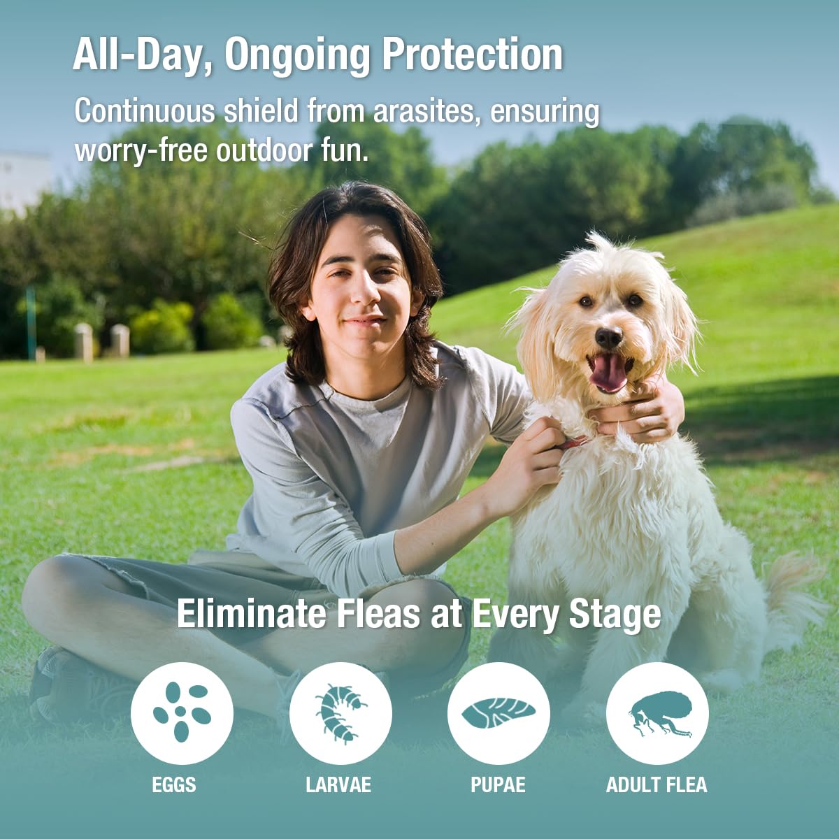 ZingZap Pet Pest Control in Grey