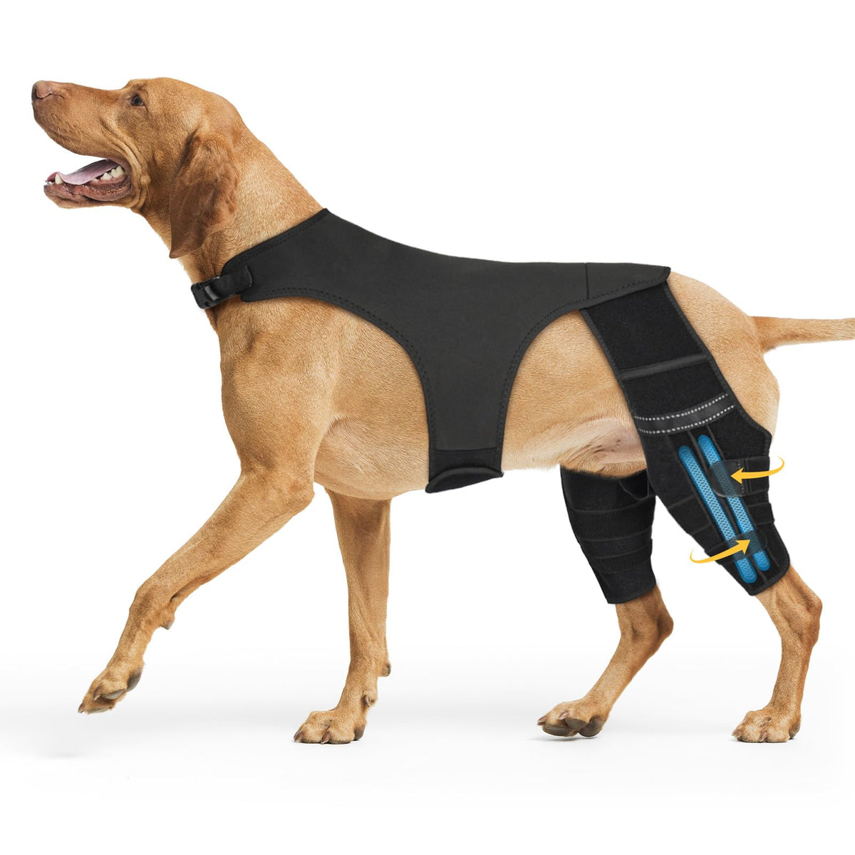 Marnonsis Pet Supplies in XL, Black
