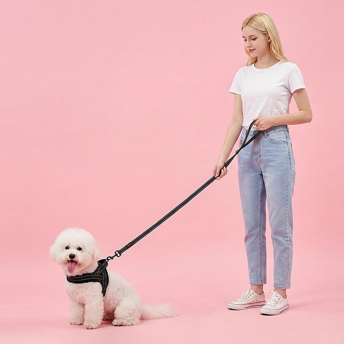 Didog Leash in 5/8''x 6 FT, Black