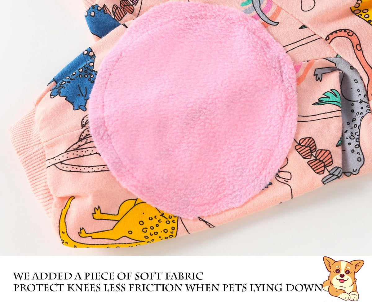PriPre Pet Apparel in Small, .Blue Pink