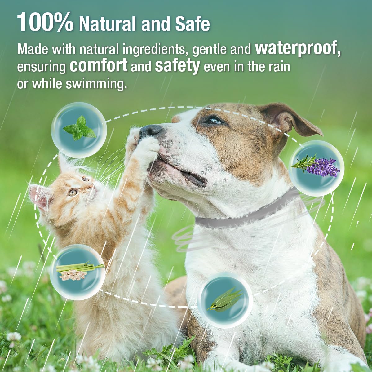 ZingZap Pet Pest Control in Grey