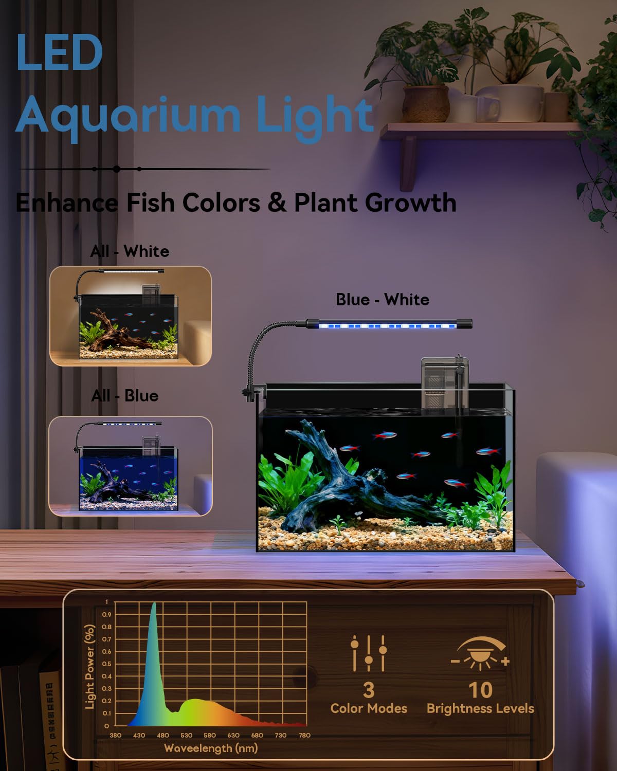 minilake Vivarium in 5 Gallon, Black