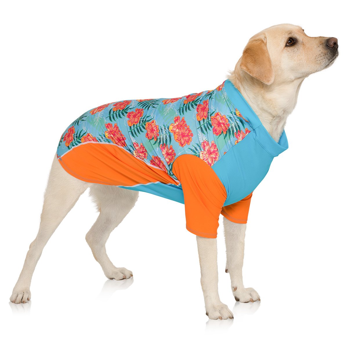 PlayaPup Pet Apparel in XX-Small, Tropical Blazing Island