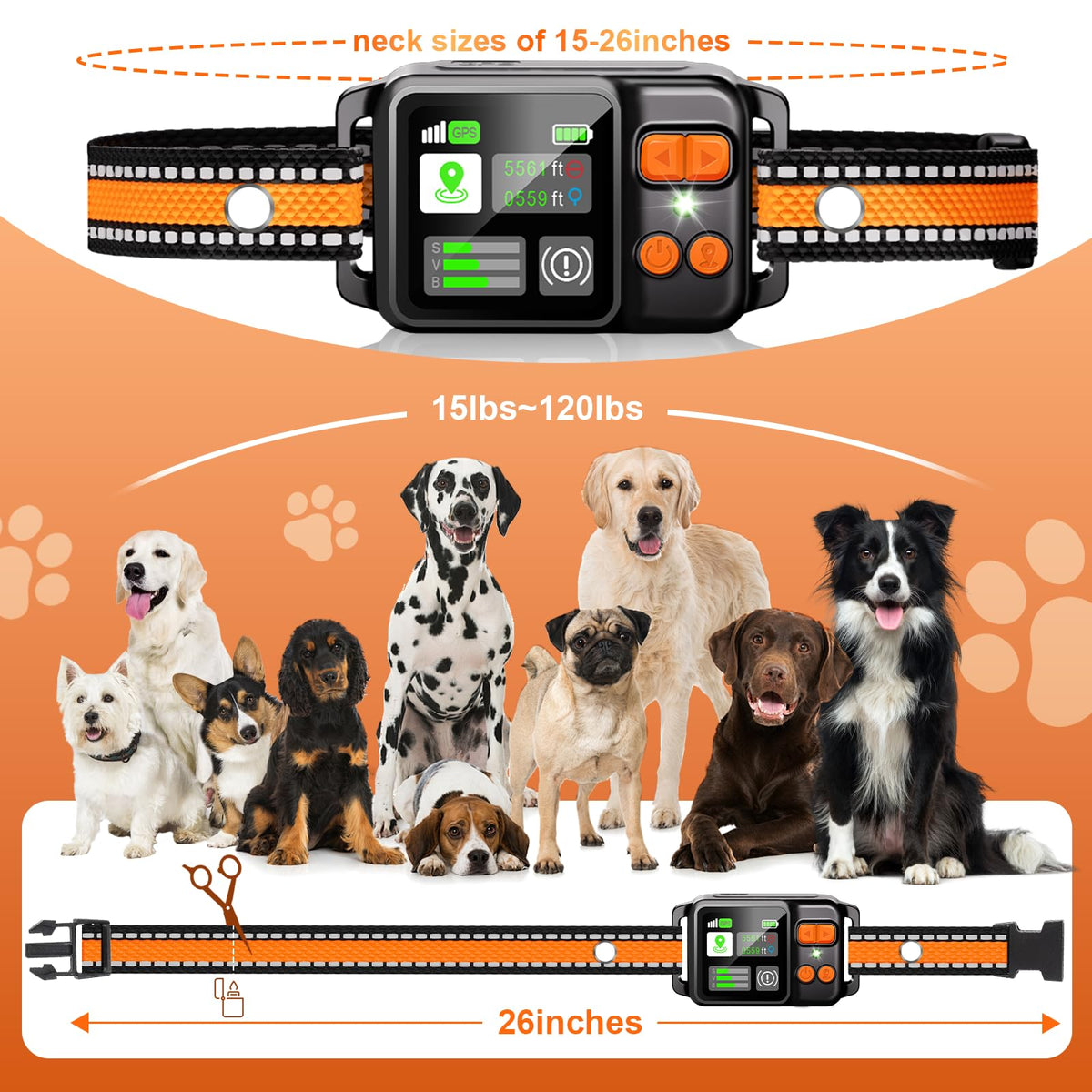 DJNFGQ Animal Collar in Orange*2