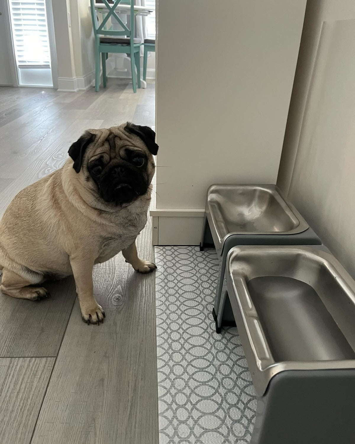 Fluff Trough Pet Feeder in Gray