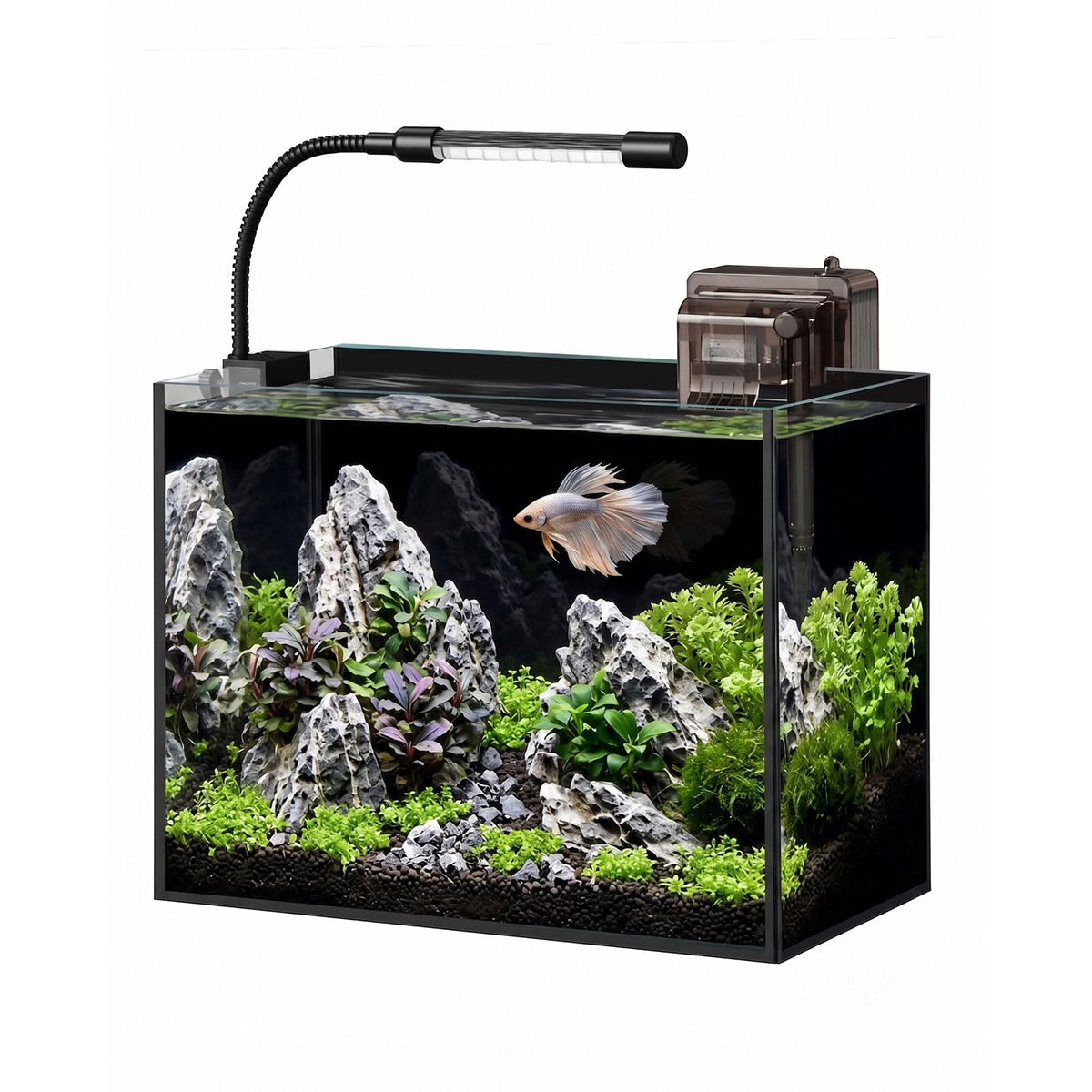 minilake Vivarium in 2.5 Gallon, Black
