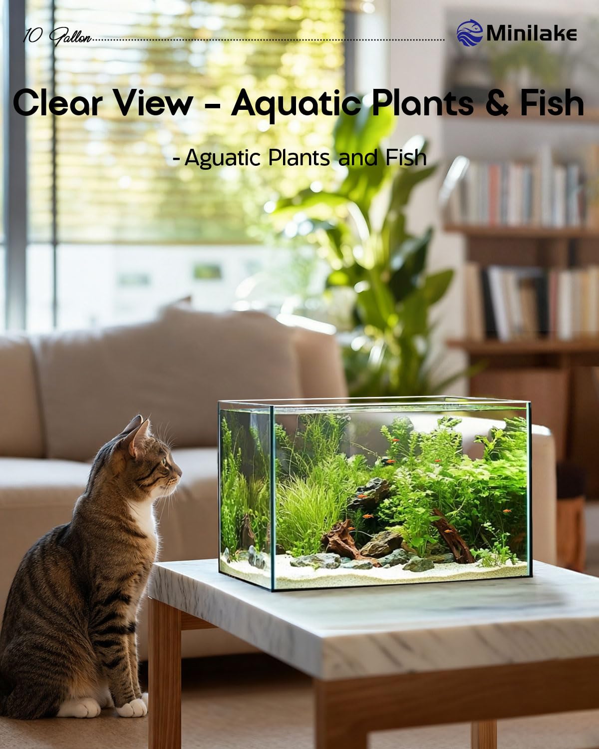 minilake Vivarium in 10 Gallon, Transparent