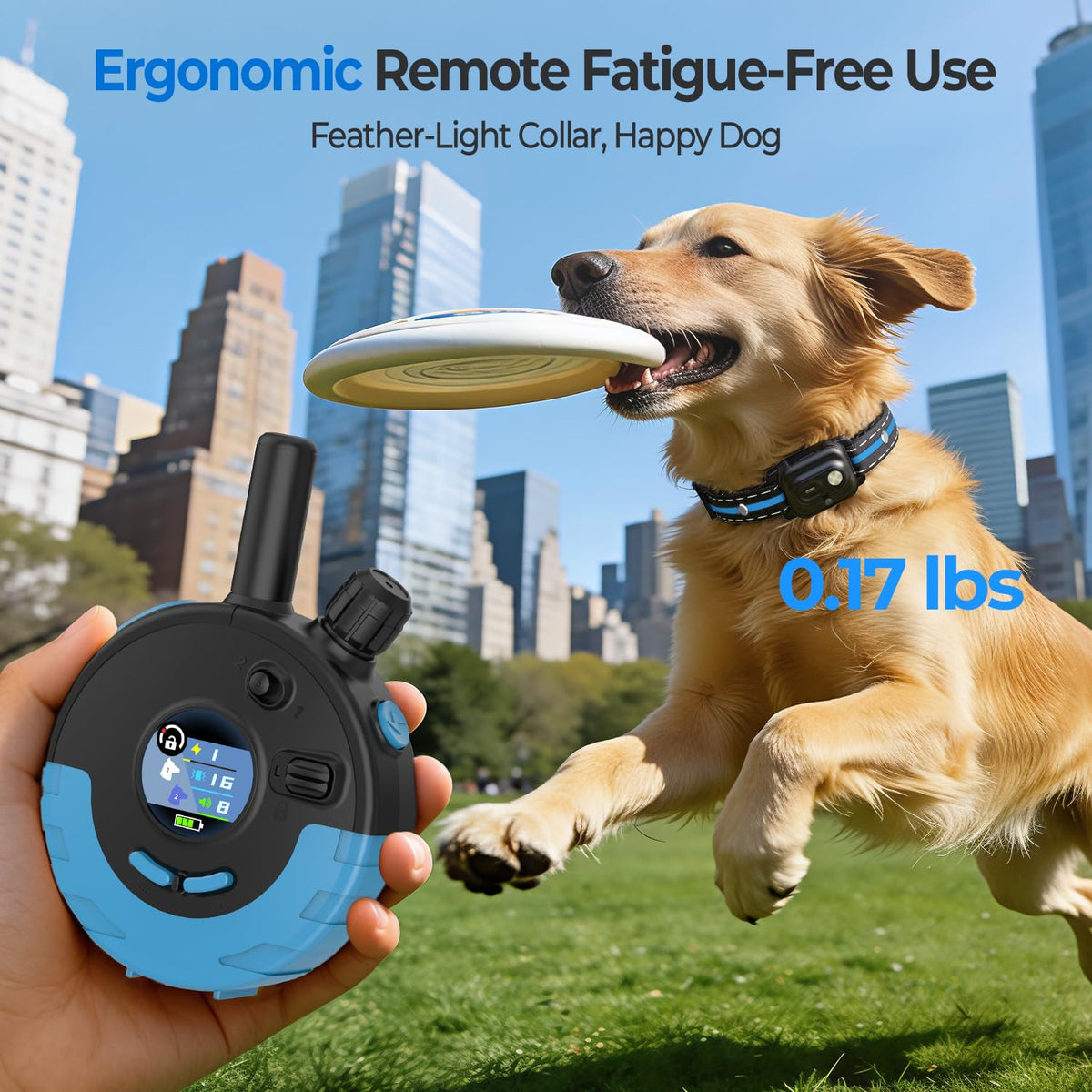 RPZ Animal Collar in 1 Receiver, Blue
