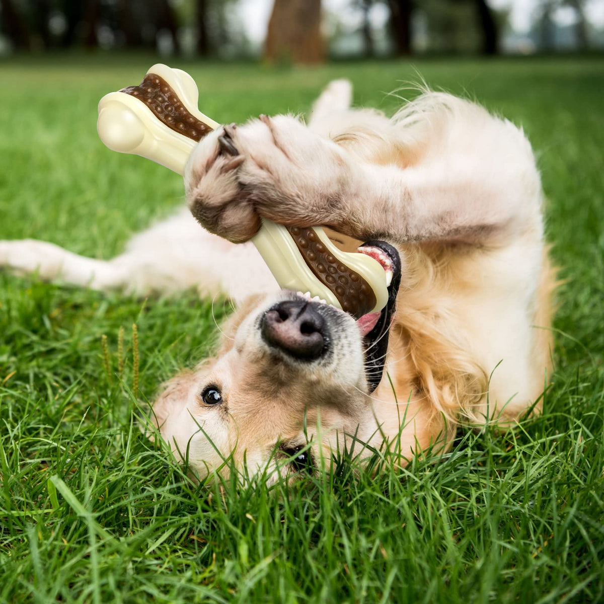 Sosation Pet Toy in Medium, as shown