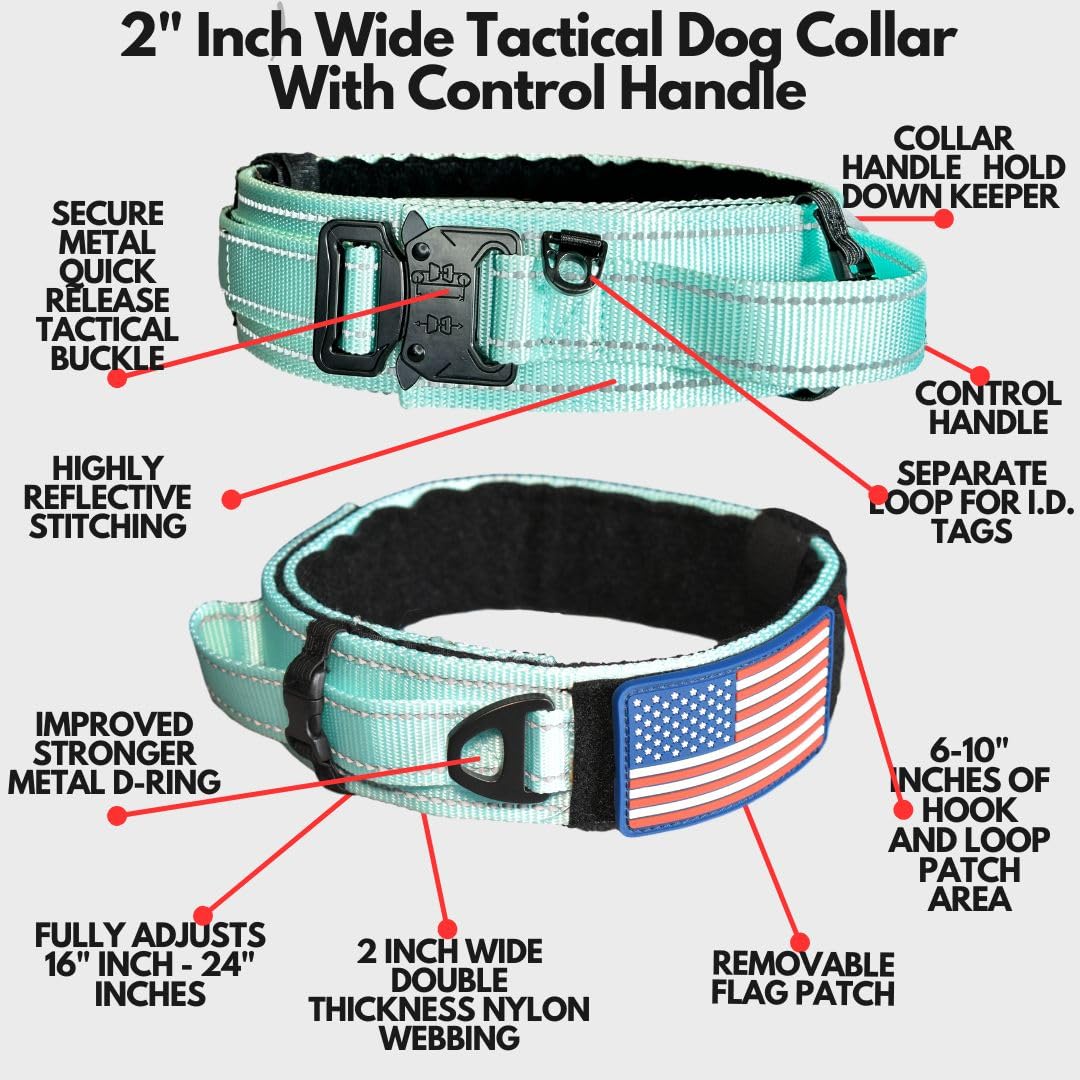 DEZIZEUSK9 Animal Collar in 16-25 INCH, MINTGREEN-COBVEL2