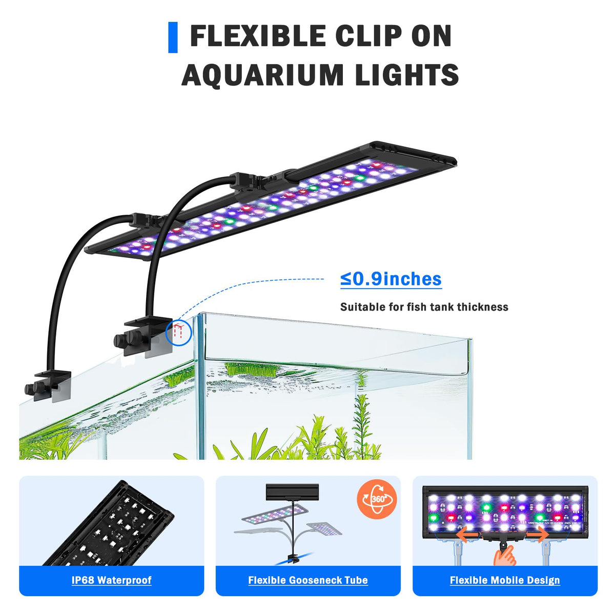 AQQA Electric Light in Black
