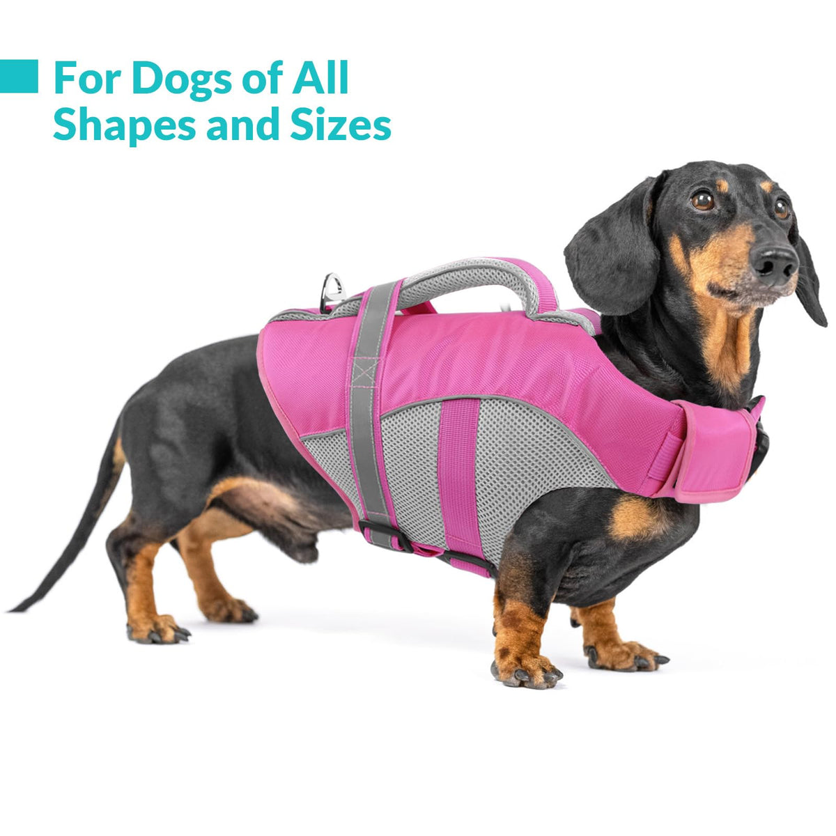 Queenmore Pet Apparel in X-Small, Pink