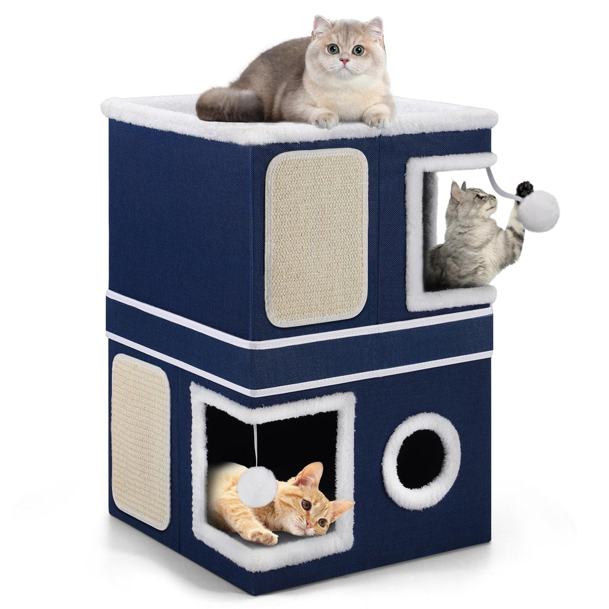 Shikha Animal Shelter in Double, Blue