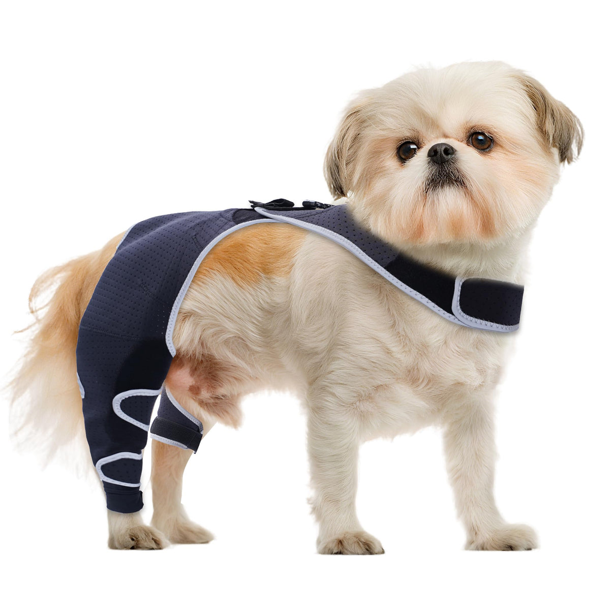 Furtent Pet Apparel in L, black