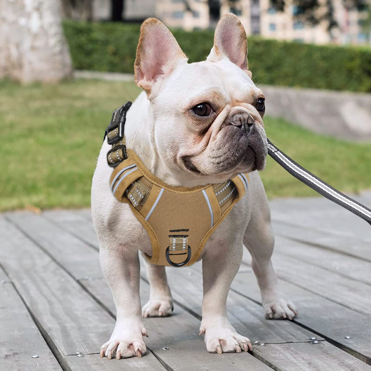 HEELE Animal Harness in S, Brown