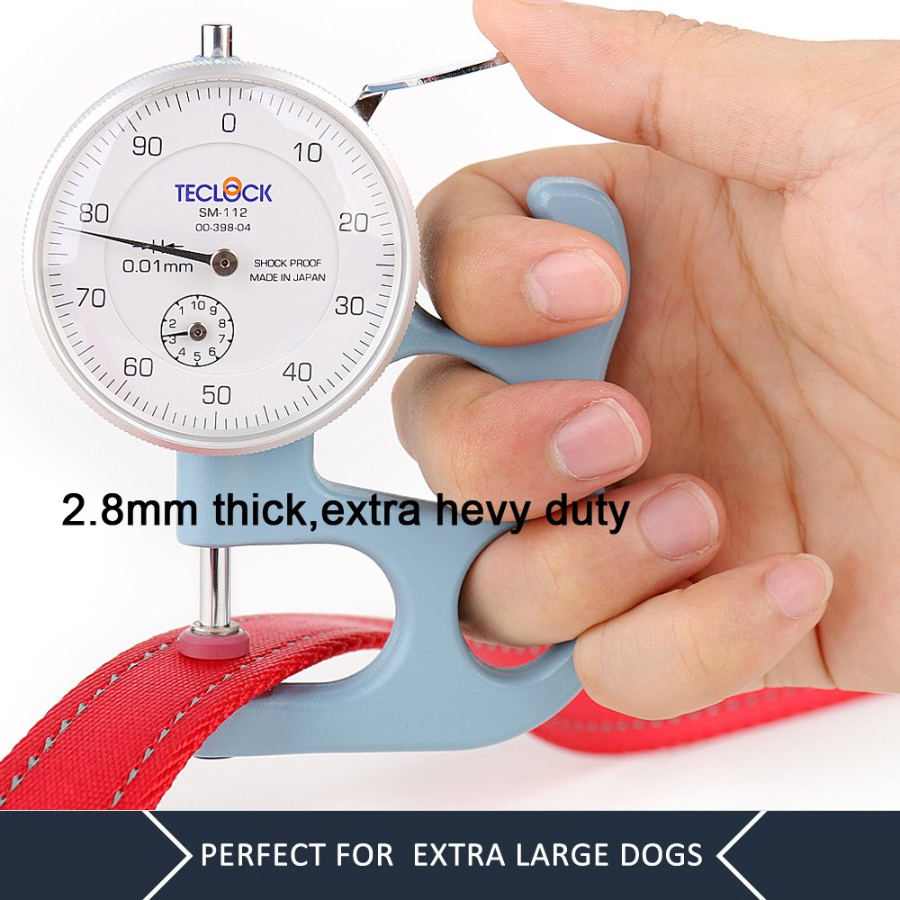 PLUTUS PET Leash in 4 FT, Red