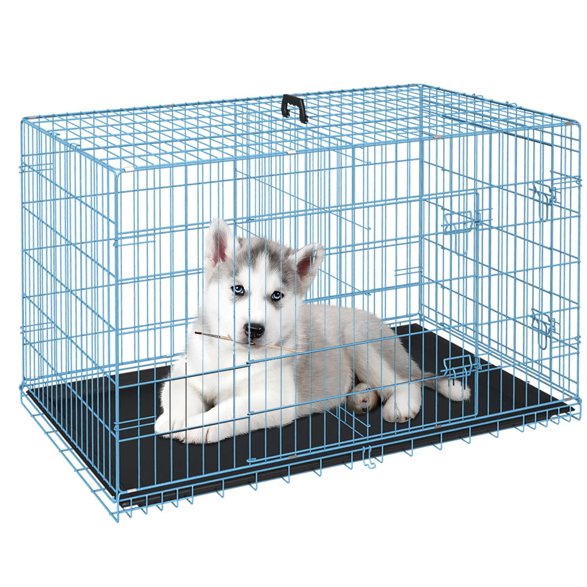 FDW Animal Cage in 24.0"L x 16.0"W x 19.0"H, Blue