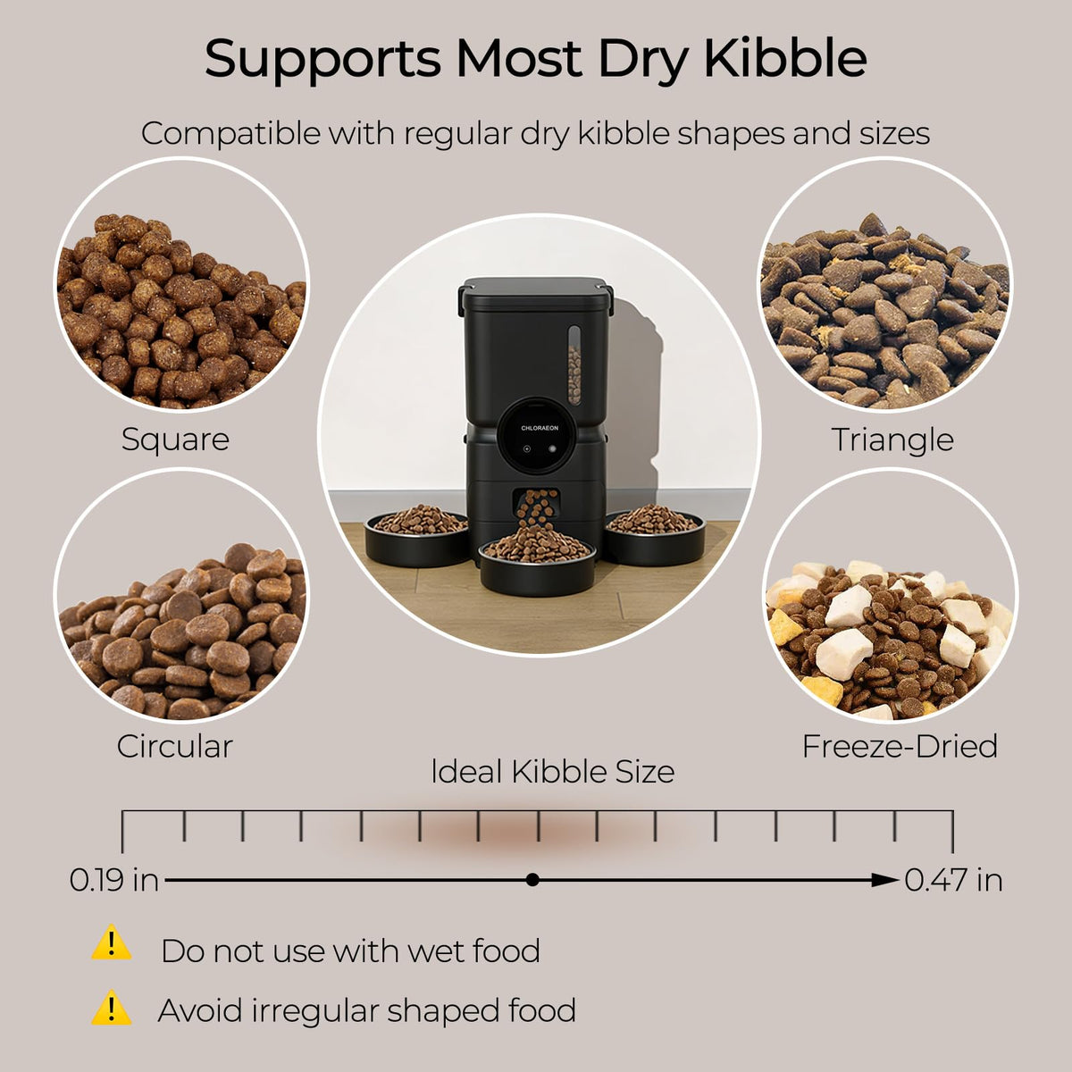 Chloraeon Pet Feeder in Black