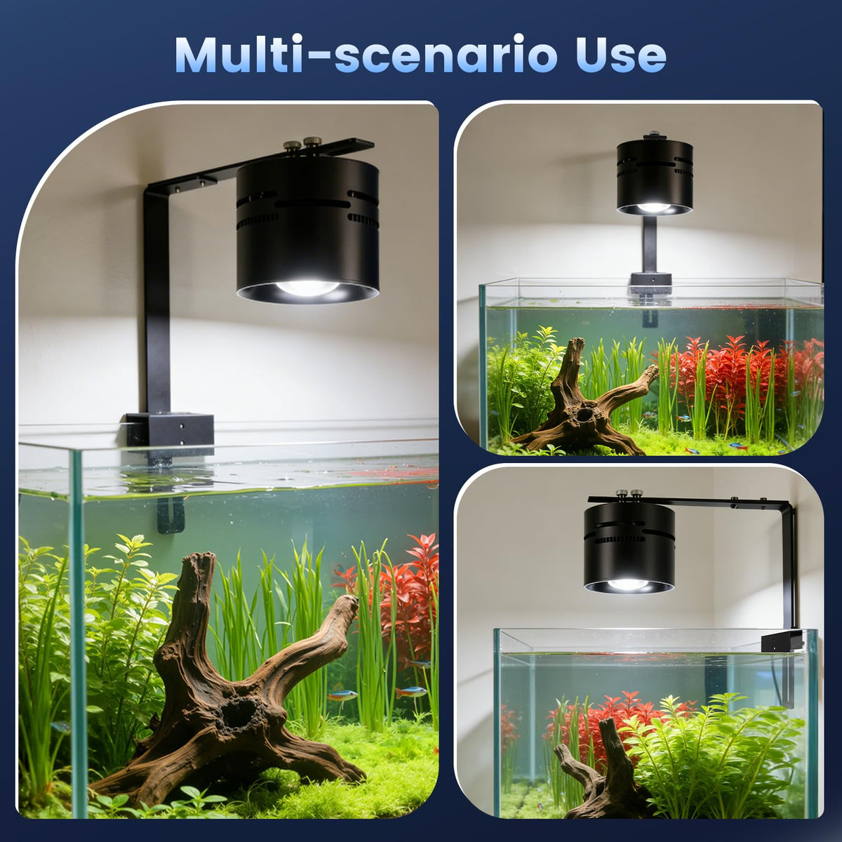 AQQA Electric Light in up to 48 Inches, Black