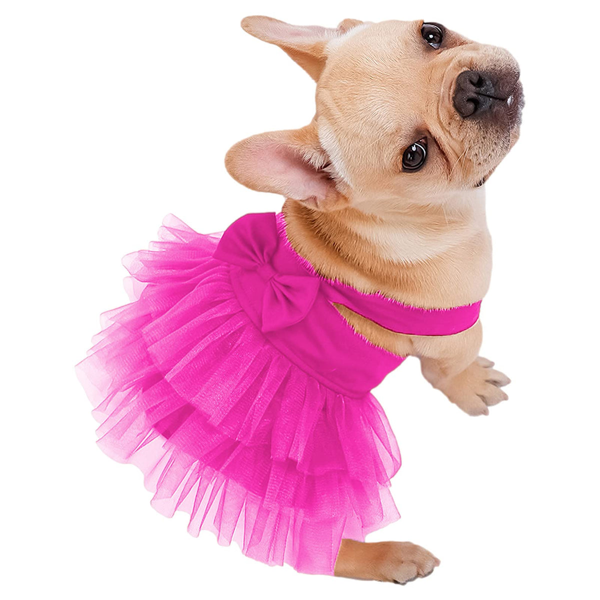 apott Pet Apparel in Small, Rose Red