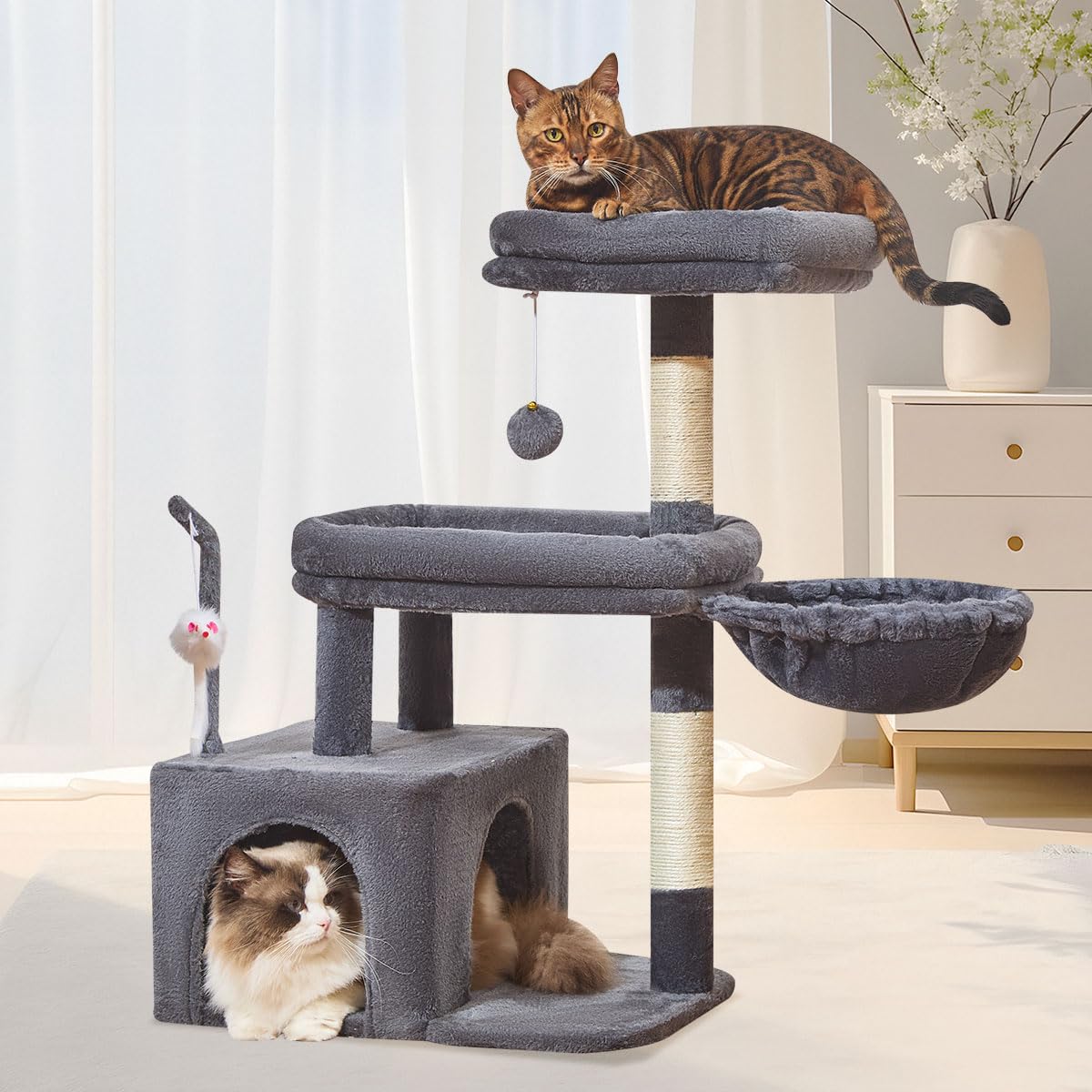 Taoqimiao Pet Activity Structure in L, Smoky Gray