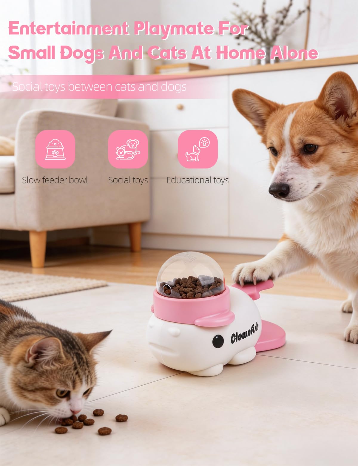 Generic Pet Feeder in pink