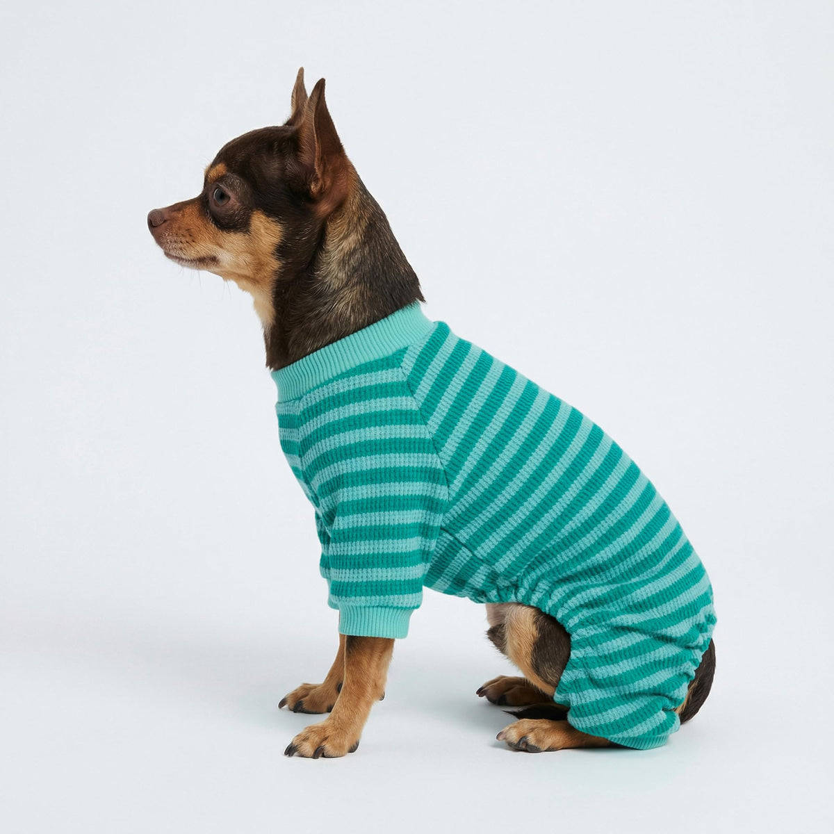 Fitwarm Pet Apparel in X-Small, DarkCyan