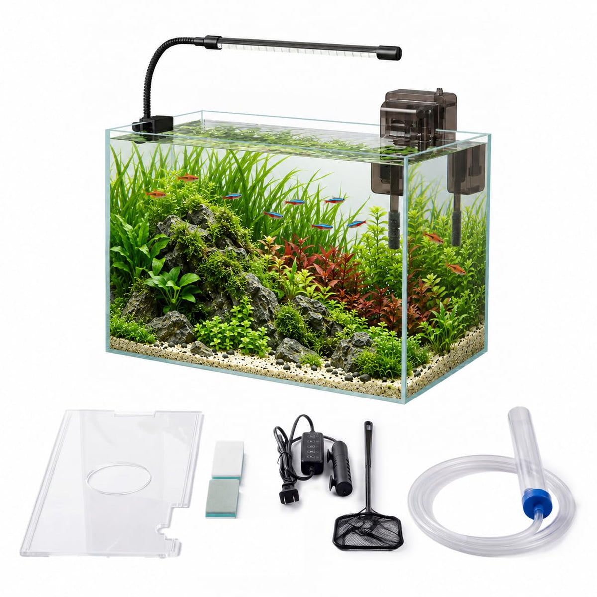 minilake Vivarium in 5 Gallon, Transparent