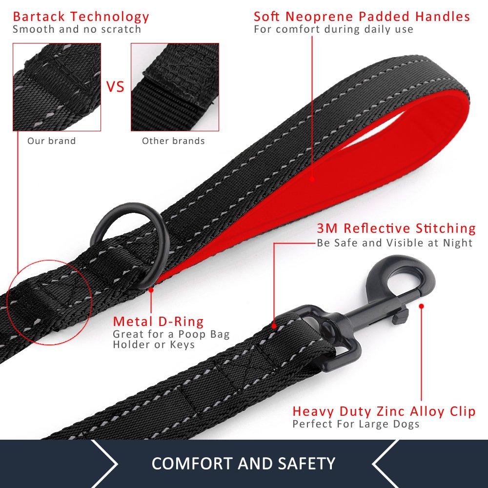 PLUTUS PET Leash in 4 FT, Black