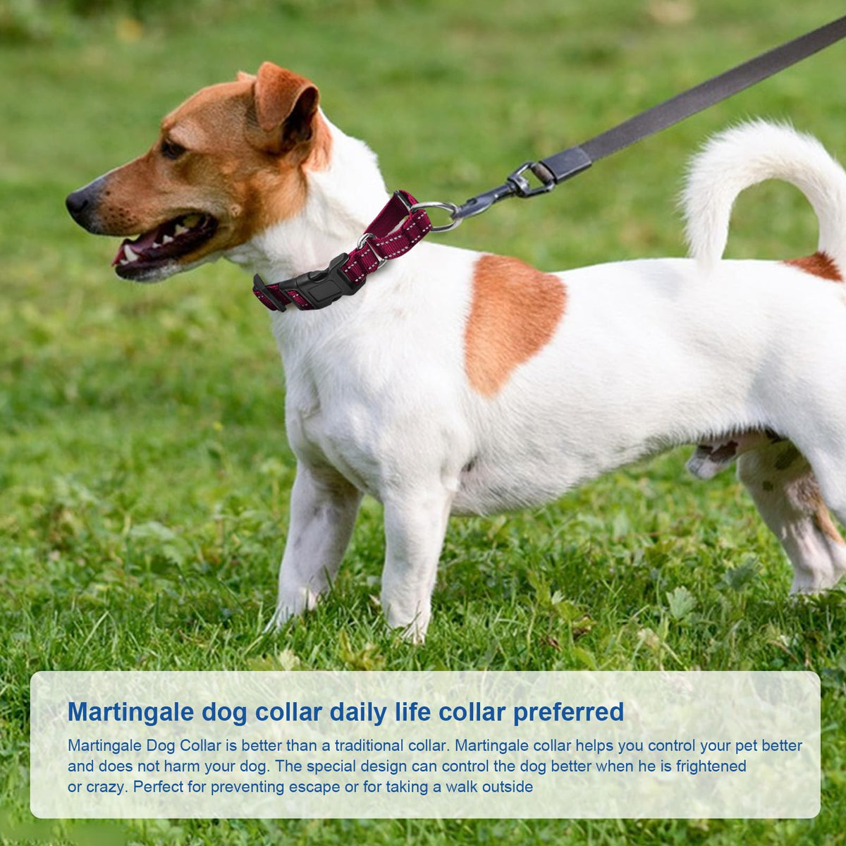 GDLKPS Animal Collar in XS:3/4" Wide for 11.5"-13.5" Neck, Crimson