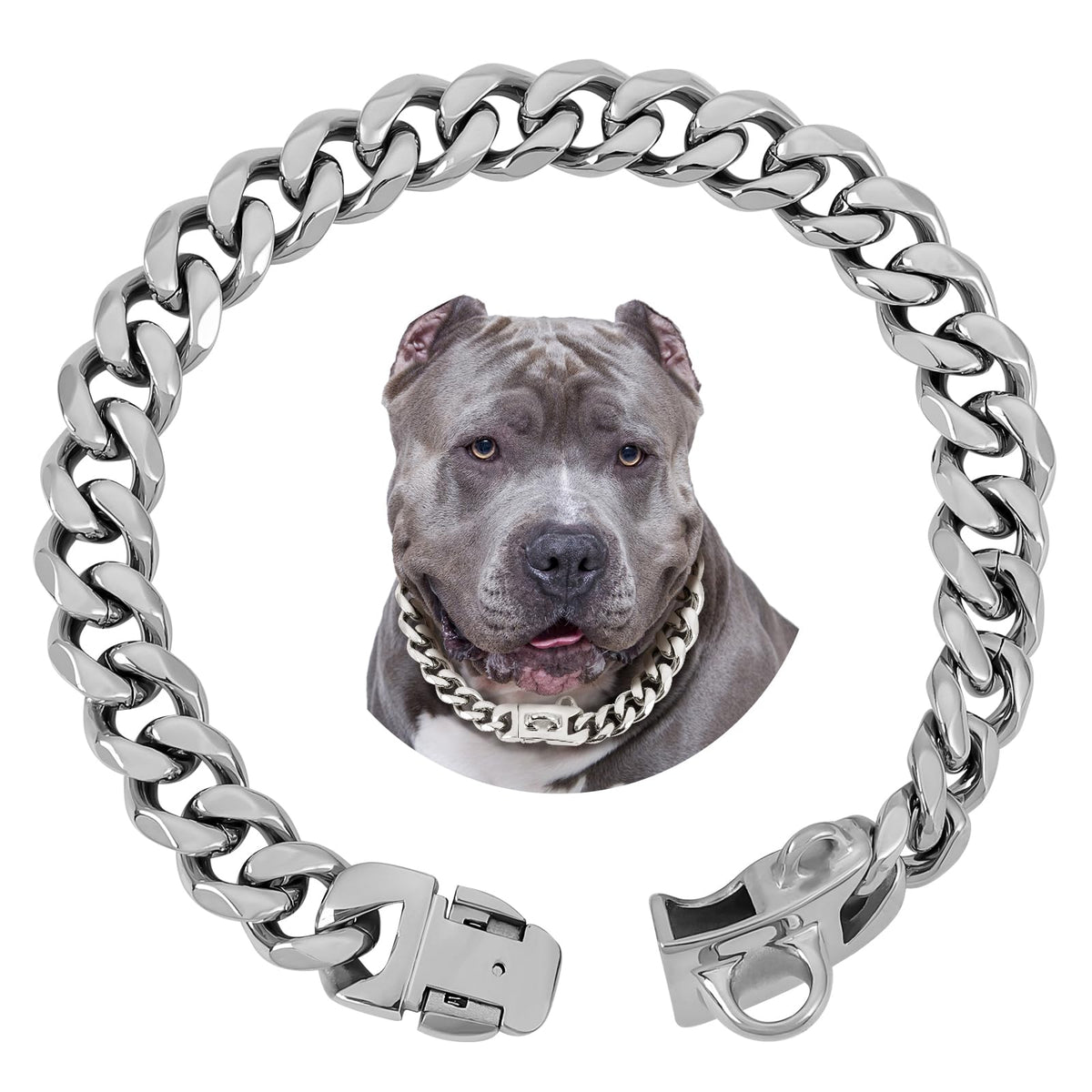 BAOBOTE Animal Collar in 12"(for 10"-11" Neck), Silver