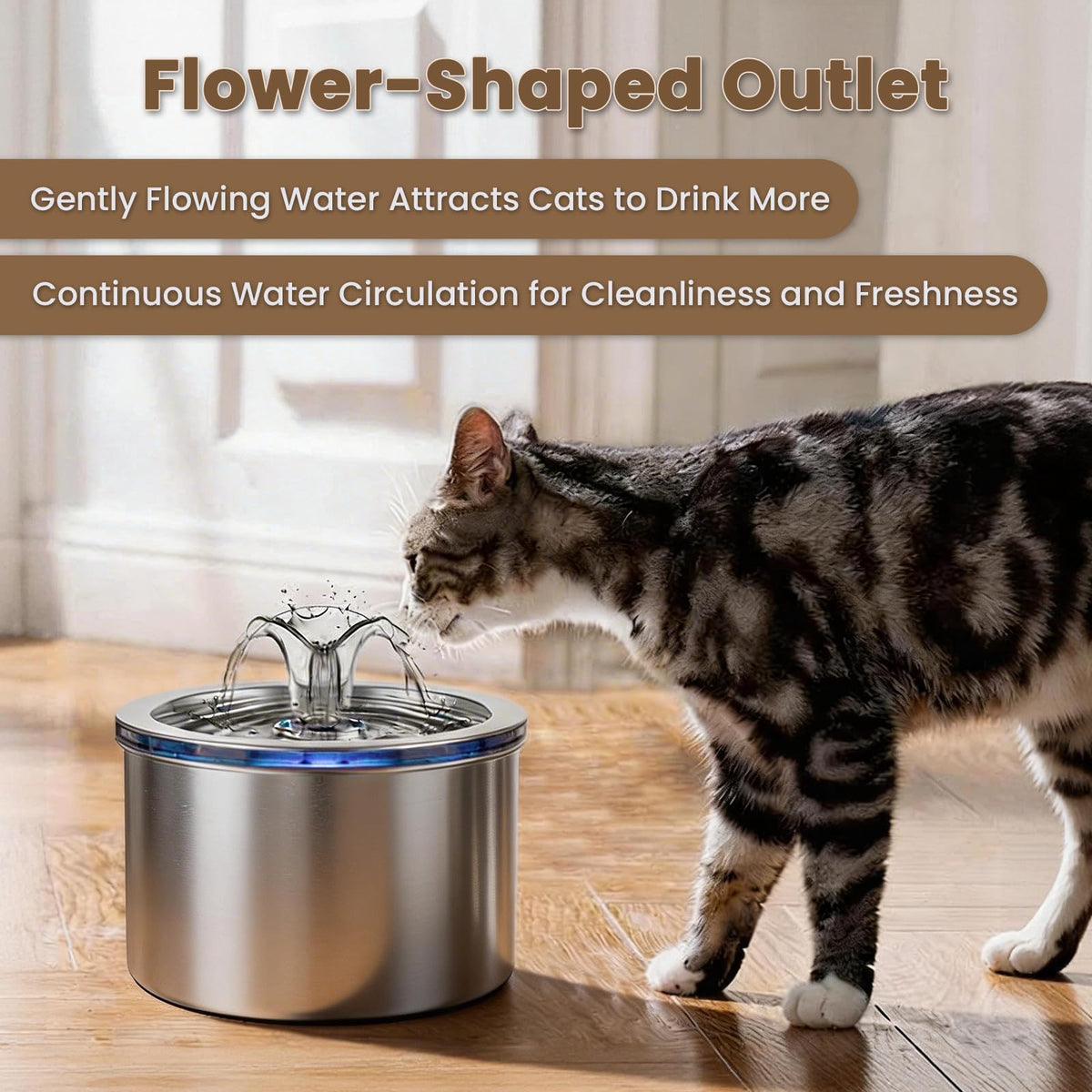 Zvaiv Animal Water Dispenser in Silver+ 3 Filters + 3 Pump Sponges