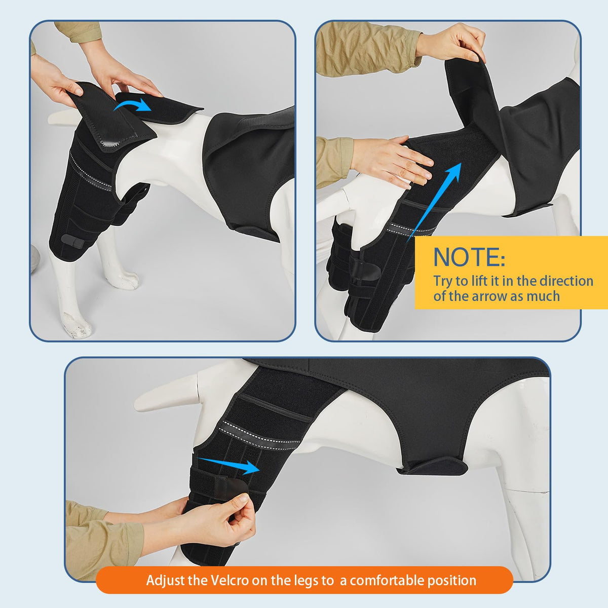 Marnonsis Pet Supplies in XL, Black