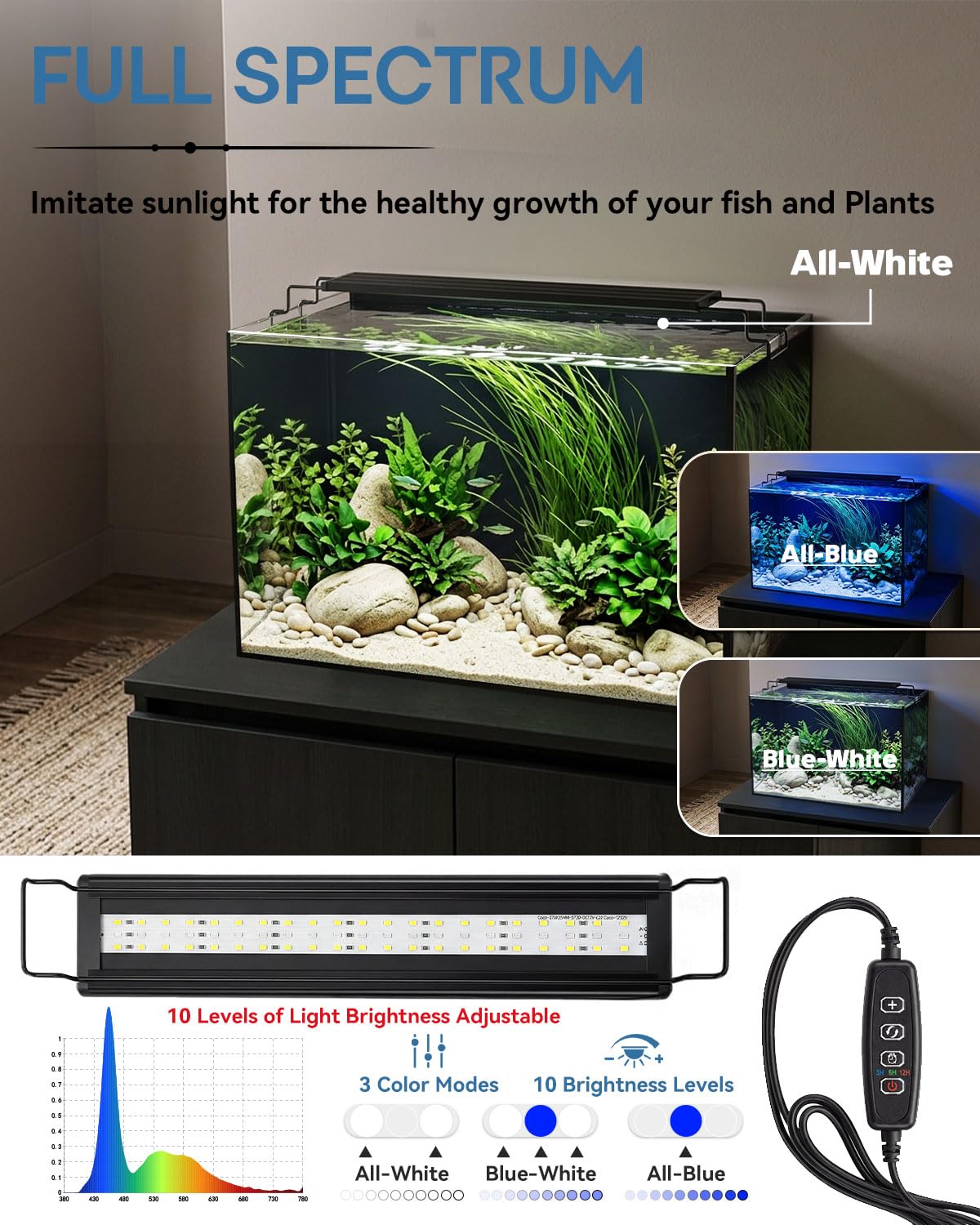 minilake Vivarium in 10 Gallon, Black