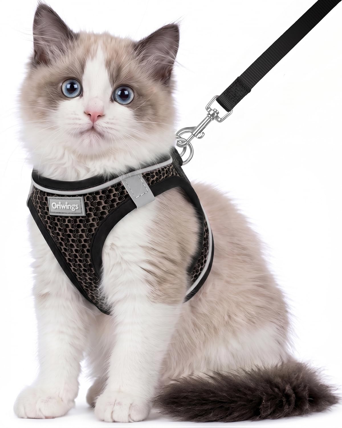 Oriwings Animal Harness in XXS, Black