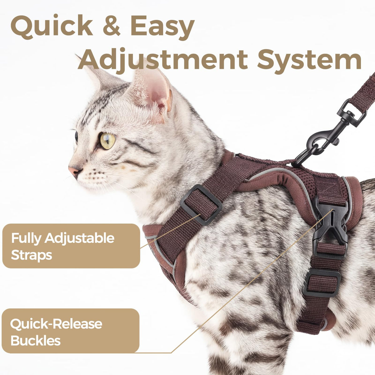 pangdi Animal Harness in Small, Brown