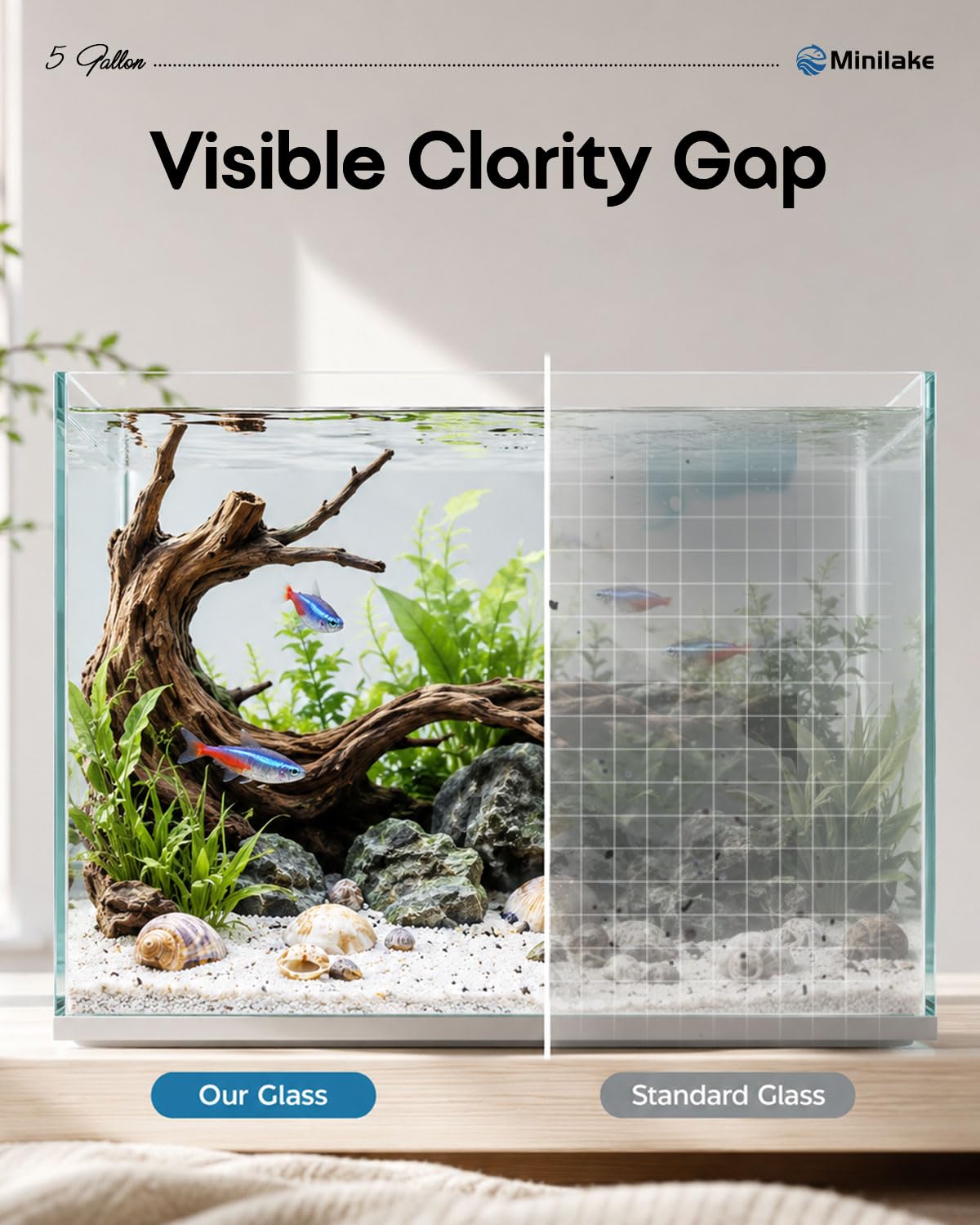 minilake Vivarium in 5 Gallon Vertical, Transparent