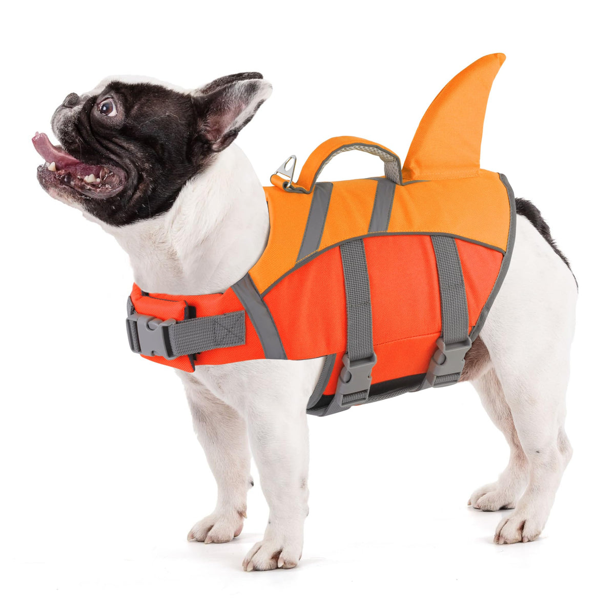Doglay Pet Apparel in Small, Orange+Dark Orange