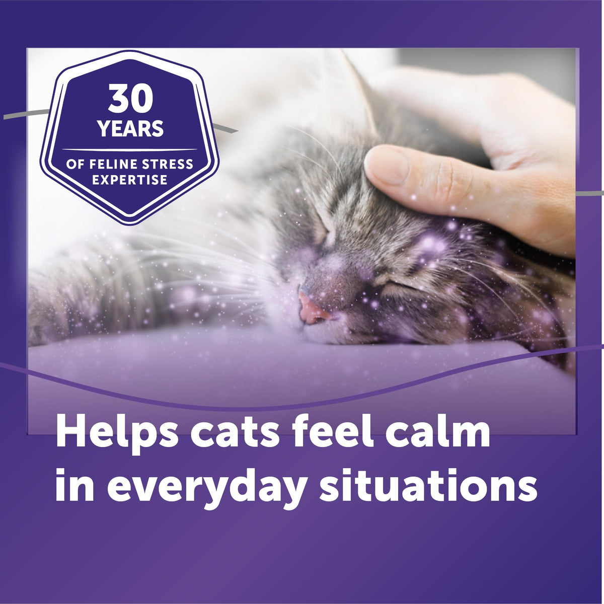 FELIWAY Pet Health Care in 1 pack, Translucent