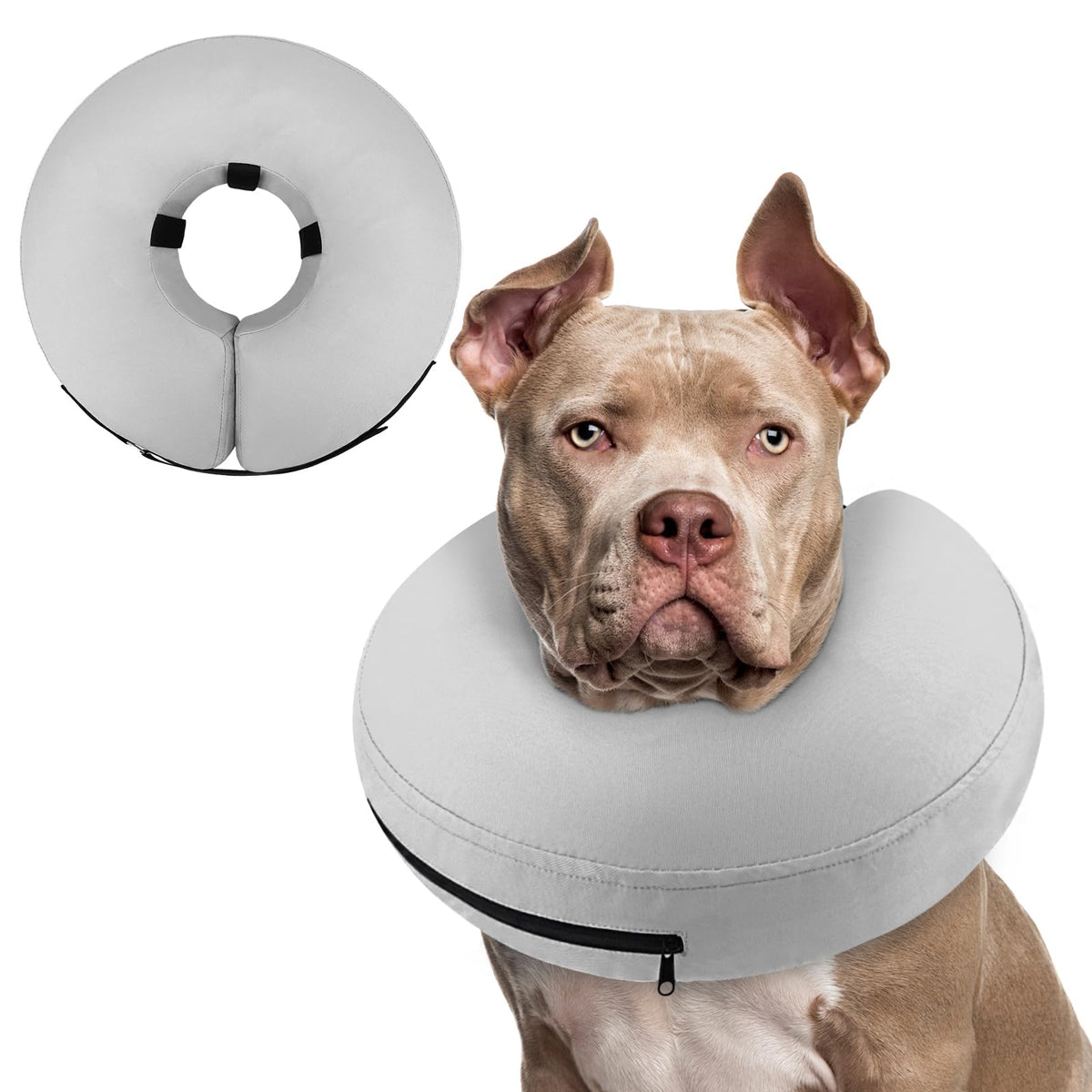 Supet Animal Recovery Collar Cone in XXL(Neck 18.5"-23.5"), Solid Grey