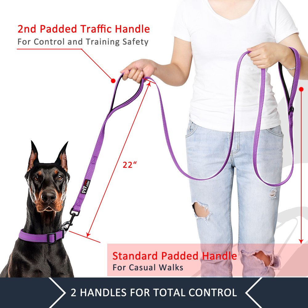 PLUTUS PET Leash in 4 FT, Purple