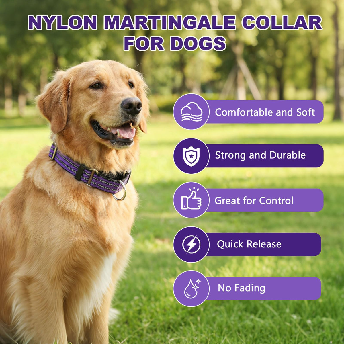 Hikiko Animal Collar in X-Small, Purple